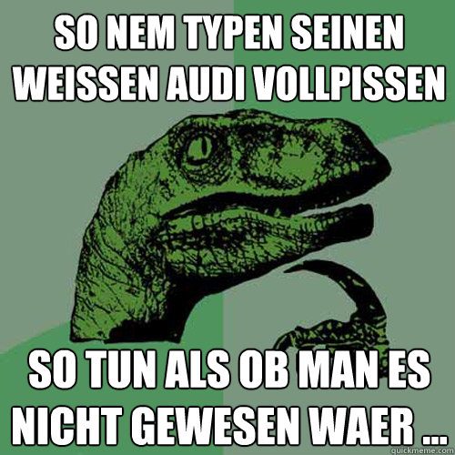 so nem typen seinen weissen audi vollpissen so tun als ob man es nicht gewesen waer ...  Philosoraptor