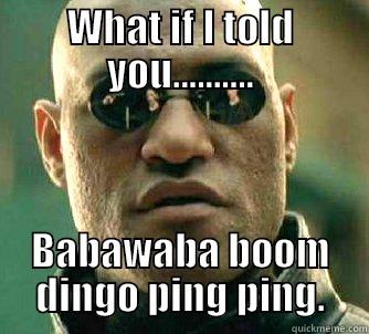 WHAT IF I TOLD YOU.......... BABAWABA BOOM DINGO PING PING. Matrix Morpheus