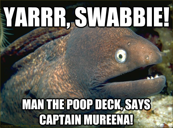 Yarrr, swabbie! man the poop deck, says captain mureena!  Bad Joke Eel