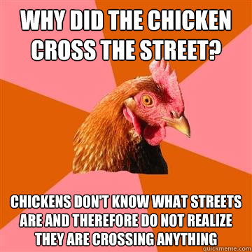 why did the chicken cross the street? chickens don't know what streets are and therefore do not realize they are crossing anything - why did the chicken cross the street? chickens don't know what streets are and therefore do not realize they are crossing anything  Anti-Joke Chicken