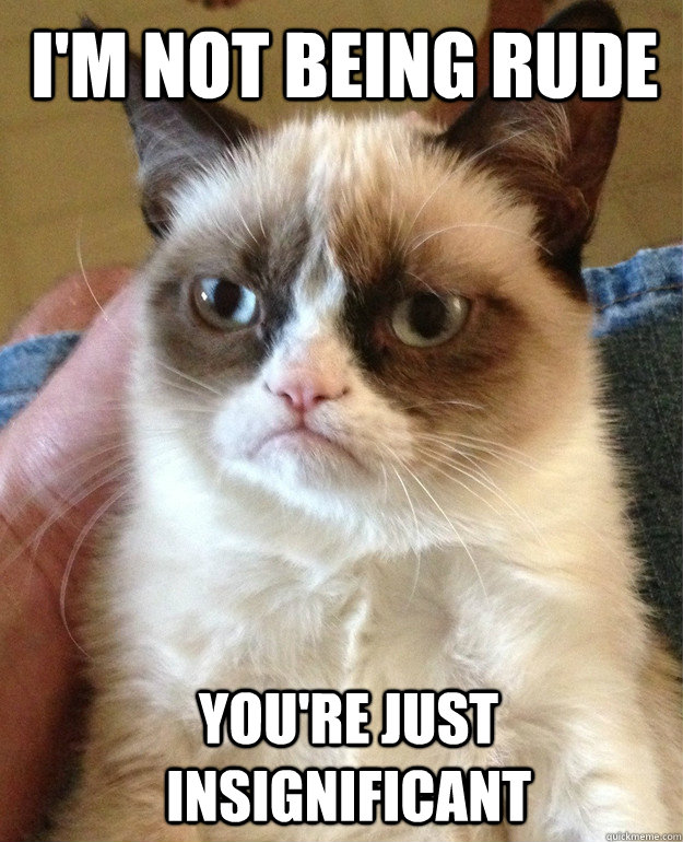 I'm Not Being Rude You're just insignificant  Grumpy Cat