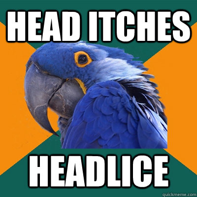 Head itches headlice - Head itches headlice  Paranoid Parrot