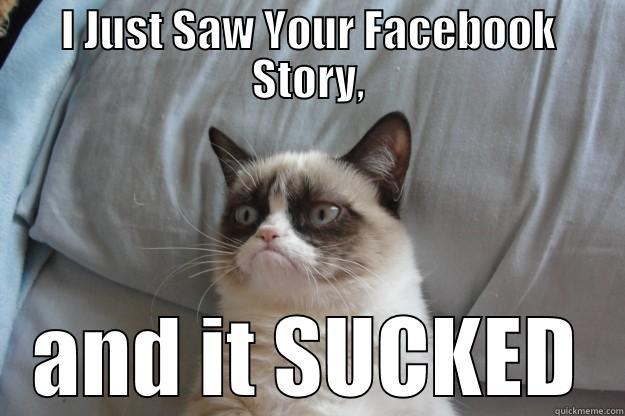 I JUST SAW YOUR FACEBOOK STORY, AND IT SUCKED Grumpy Cat