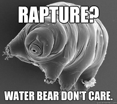 RAPTURE? WATER BEAR DON'T CARE. - RAPTURE? WATER BEAR DON'T CARE.  Misc