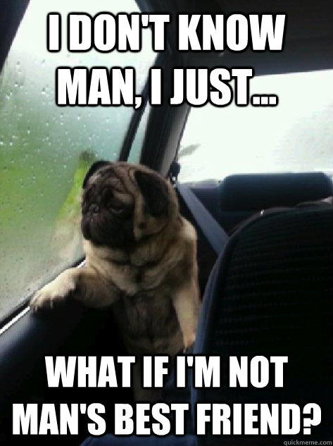 I don't know man, I just... What if i'm not man's best friend?  - I don't know man, I just... What if i'm not man's best friend?   Introspective Pug