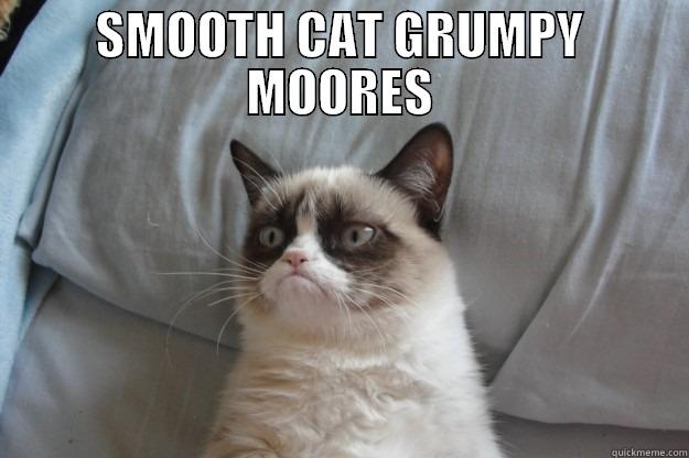 SMOOTH CAT GRUMPY MOORES  Grumpy Cat