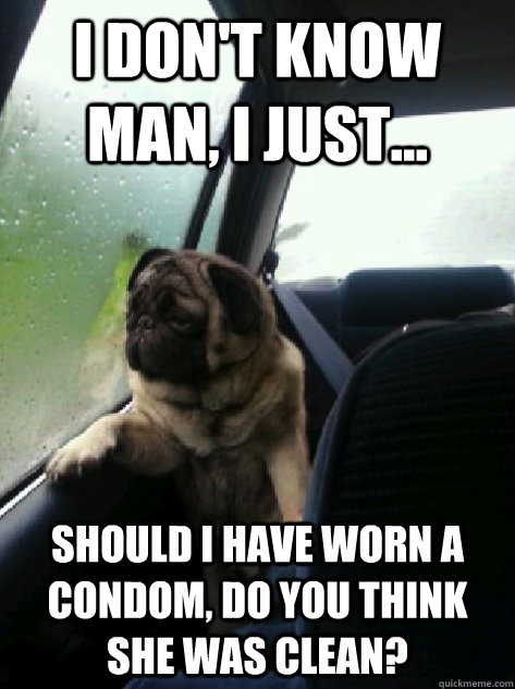 I don't know man, I just... should I have worn a condom, do you think she was clean?  Introspective Pug