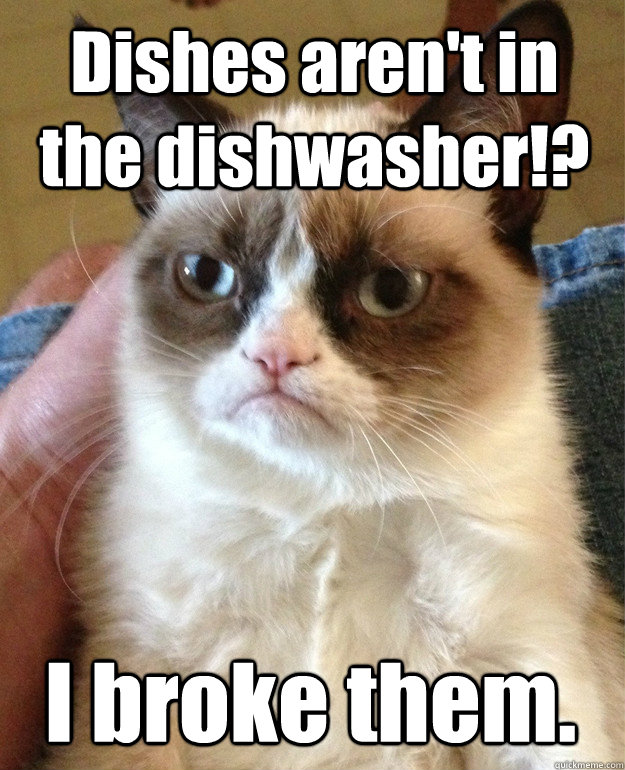 Dishes aren't in the dishwasher!? I broke them.  - Dishes aren't in the dishwasher!? I broke them.   Misc