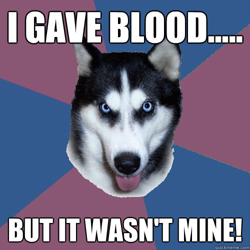 I gave blood..... BUT IT WASN'T MINE! - I gave blood..... BUT IT WASN'T MINE!  Creeper Canine