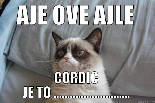 KREPAa nauie - AJE OVE AJLE CORDIC JE TO ............................ Grumpy Cat