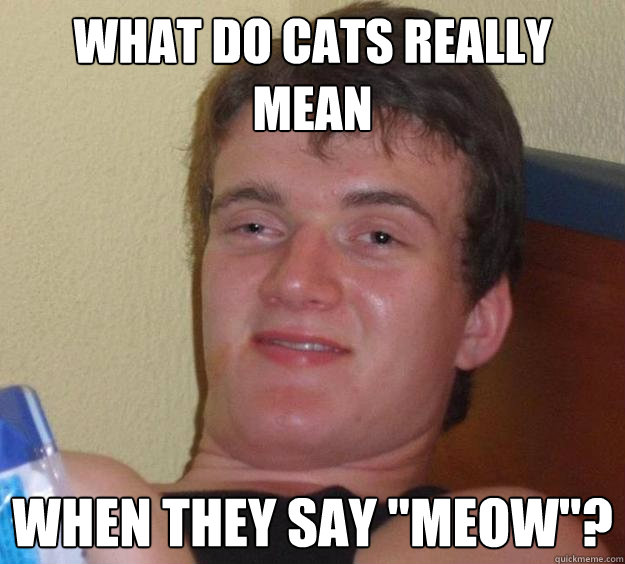 What do cats really mean when they say 