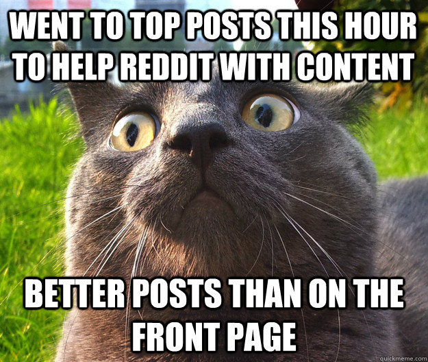 Went to Top posts this hour to help reddit with content better posts than on the front page - Went to Top posts this hour to help reddit with content better posts than on the front page  Bewildered Cat