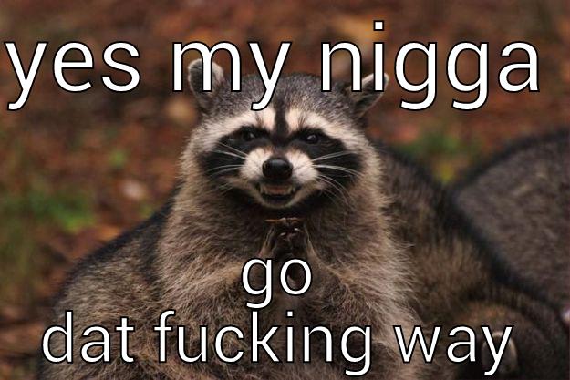 YES MY NIGGA  GO DAT FUCKING WAY Evil Plotting Raccoon