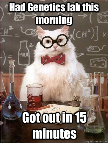 Had Genetics lab this morning Got out in 15 minutes - Had Genetics lab this morning Got out in 15 minutes  Chemistry Cat