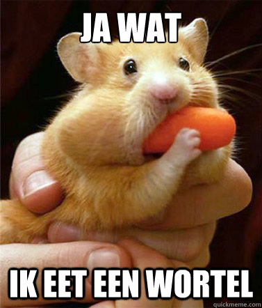 JA WAT IK EET EEN WORTEL - JA WAT IK EET EEN WORTEL  Wortel Hamster