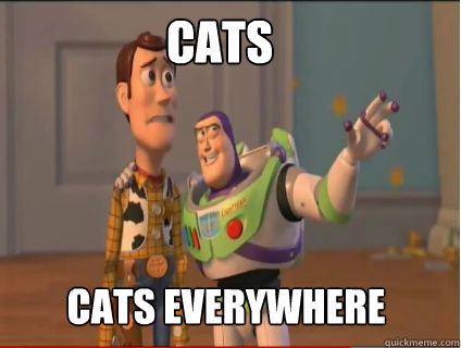 cats  cats everywhere - cats  cats everywhere  woody and buzz