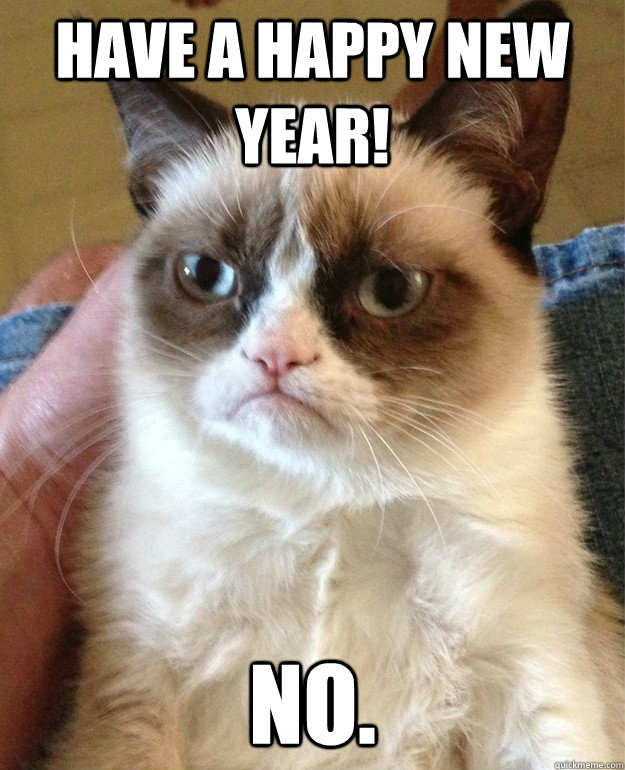 Have a happy New Year! No.  Grumpy Cat