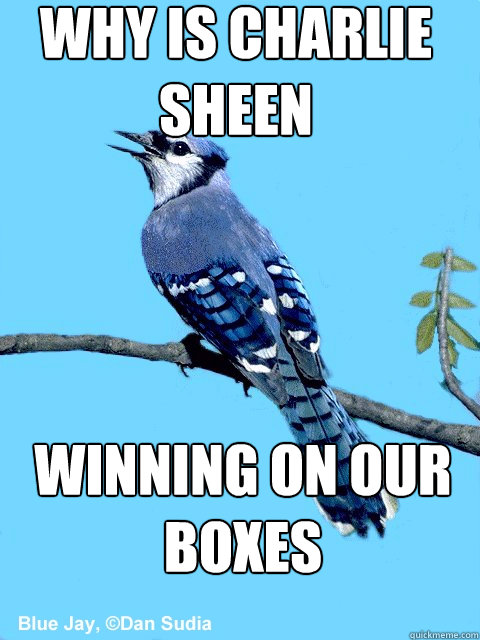 Why is charlie sheen winning on our boxes  Blue Team Bird