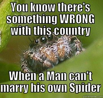 Bulletins from Spider Mountain - YOU KNOW THERE'S SOMETHING WRONG WITH THIS COUNTRY WHEN A MAN CAN'T MARRY HIS OWN SPIDER Misunderstood Spider