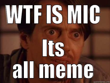 WTF IS MIC ITS ALL MEME Misc