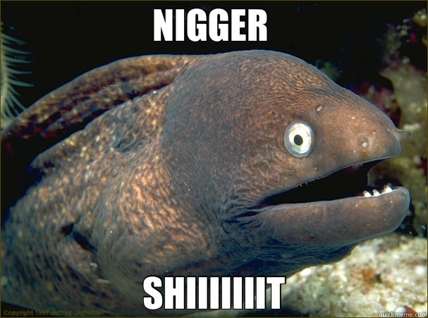 NIGGER  SHIIIIIIIT  Bad Joke Eel