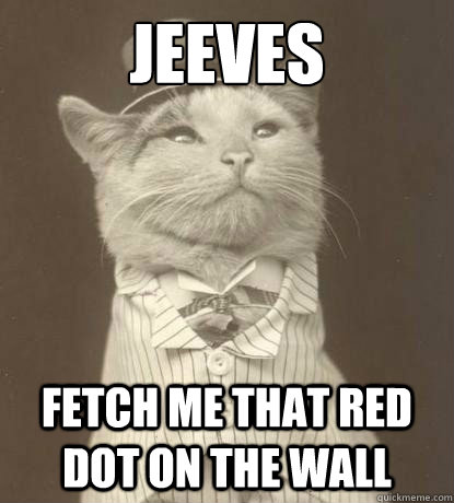 jeeves fetch me that red dot on the wall  Aristocat