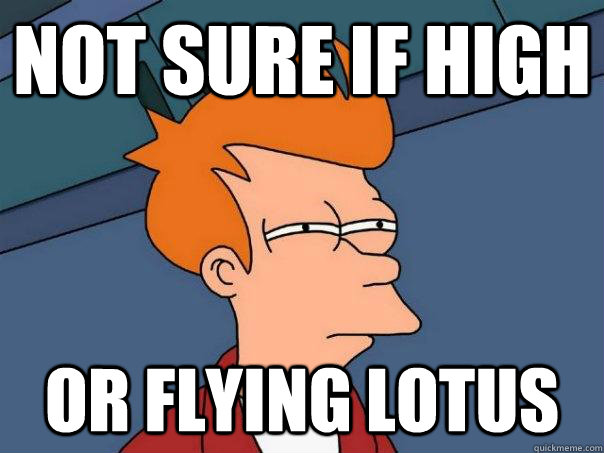 Not sure if high or flying lotus  Futurama Fry