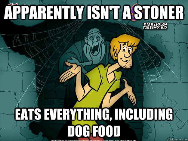 Apparently isn't a stoner Eats everything, including dog food  Irrational Shaggy