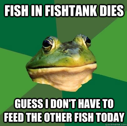 Fish in fishtank dies Guess i don't have to feed the other fish today  Foul Bachelor Frog