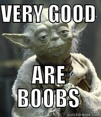 VERY GOOD  ARE BOOBS Misc