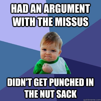 Had an argument with the missus didn't get punched in the nut sack  Success Kid