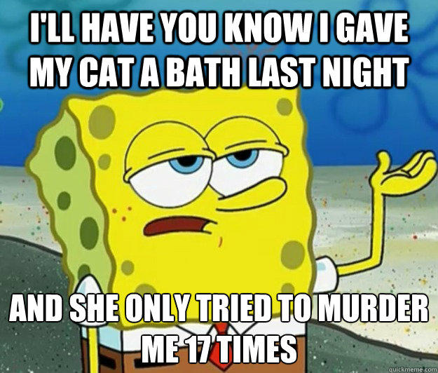 I'll have you know i gave my cat a bath last night and she only tried to murder me 17 times  