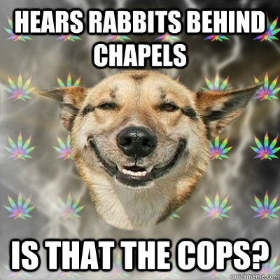 hears rabbits behind chapels is that the cops?  Stoner Dog