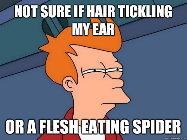 Not sure if hair tickling my ear Or a flesh eating spider  Futurama Fry