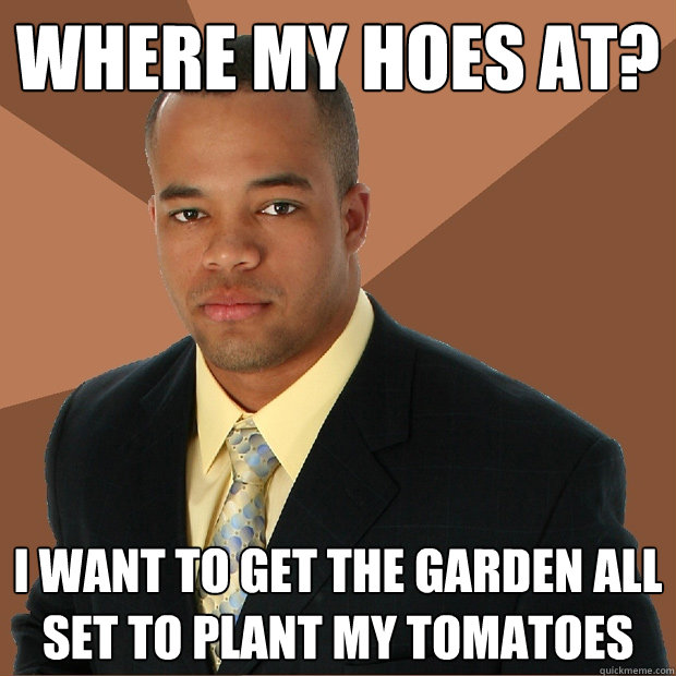 where my hoes at? i want to get the garden all set to plant my tomatoes  Successful Black Man