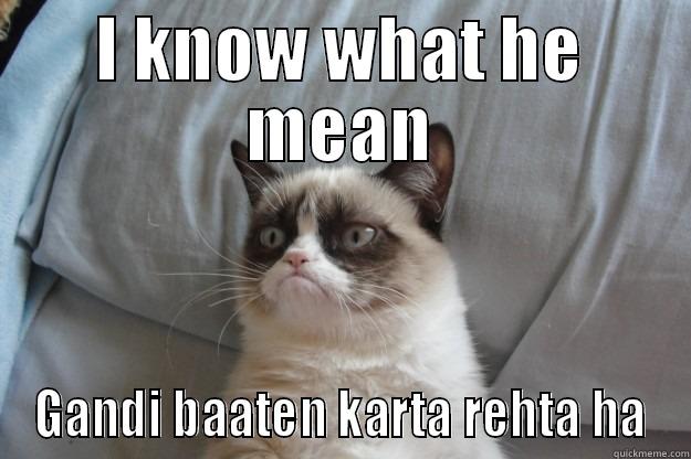 I KNOW WHAT HE MEAN GANDI BAATEN KARTA REHTA HA Grumpy Cat