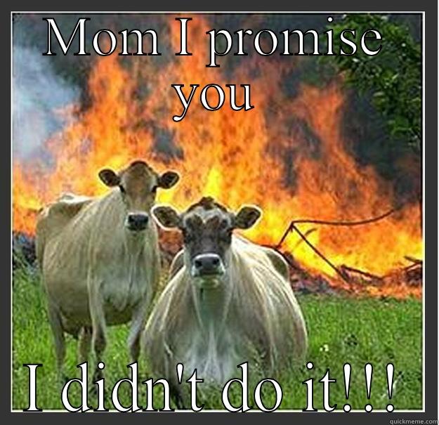 Gotcha  - MOM I PROMISE YOU I DIDN'T DO IT!!! Evil cows