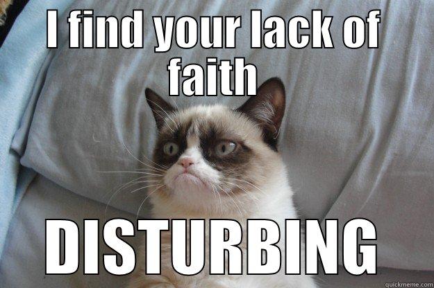 I FIND YOUR LACK OF FAITH DISTURBING Grumpy Cat