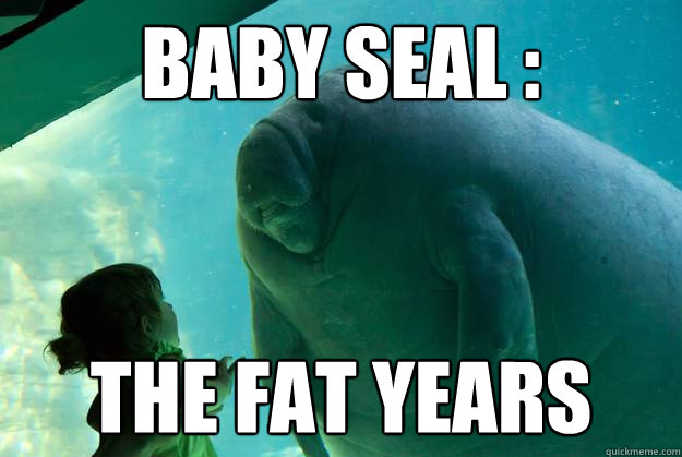 Baby seal : The Fat years - Baby seal : The Fat years  Overlord Manatee