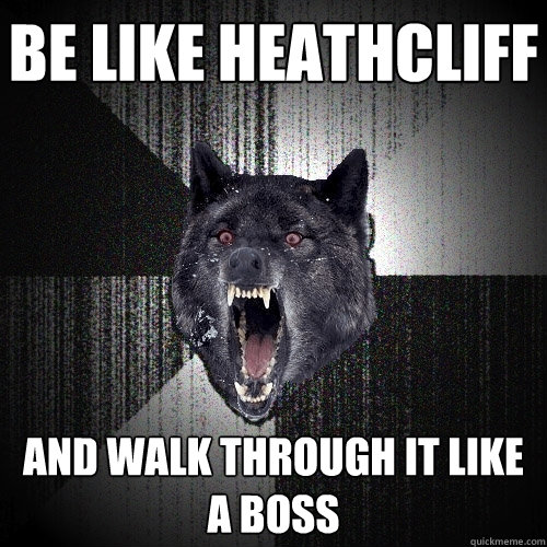 be like heathcliff and walk through it like a boss  Insanity Wolf