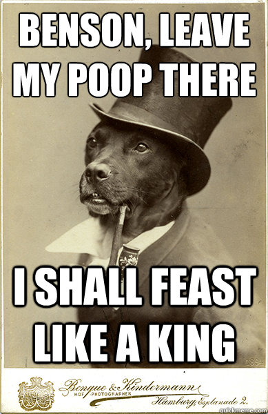 benson, leave my poop there
 I shall feast like a king - benson, leave my poop there
 I shall feast like a king  Old Money Dog