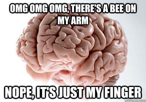 omg omg omg, there's a bee on my arm nope, it's just my finger - omg omg omg, there's a bee on my arm nope, it's just my finger  Scumbag Brain