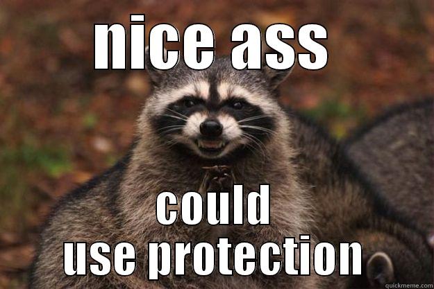 NICE ASS COULD USE PROTECTION Evil Plotting Raccoon