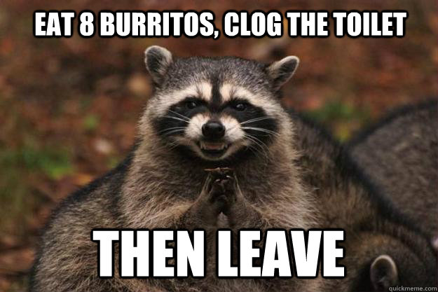 eat 8 burritos, clog the toilet then Leave  Evil Plotting Raccoon