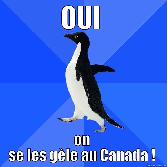 OUI ON SE LES GÈLE AU CANADA ! Socially Awkward Penguin