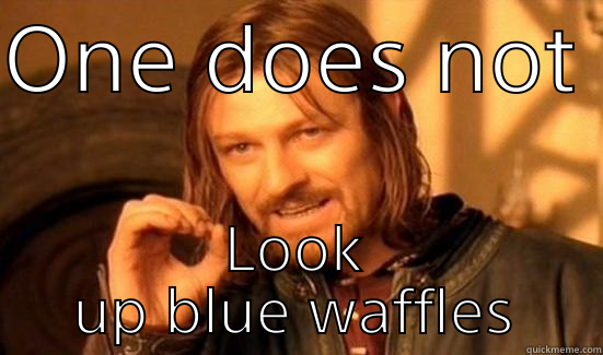 Waffle alert ! - ONE DOES NOT  LOOK UP BLUE WAFFLES Boromir