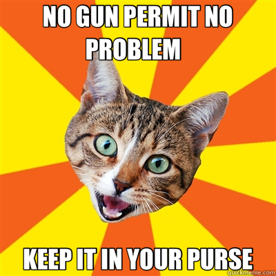 NO GUN PERMIT NO PROBLEM   KEEP IT IN YOUR PURSE  Bad Advice Cat