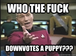 Who the FUCK downvotes a puppy??? - Who the FUCK downvotes a puppy???  Annoyed Picard