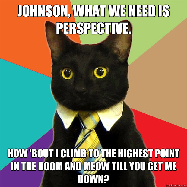 Johnson, what we need is perspective. How 'bout I climb to the highest point in the room and meow till you get me down?  Business Cat