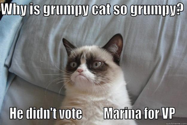 Why is grumpy cat so grumpy?  - WHY IS GRUMPY CAT SO GRUMPY?  HE DIDN'T VOTE         MARINA FOR VP Grumpy Cat